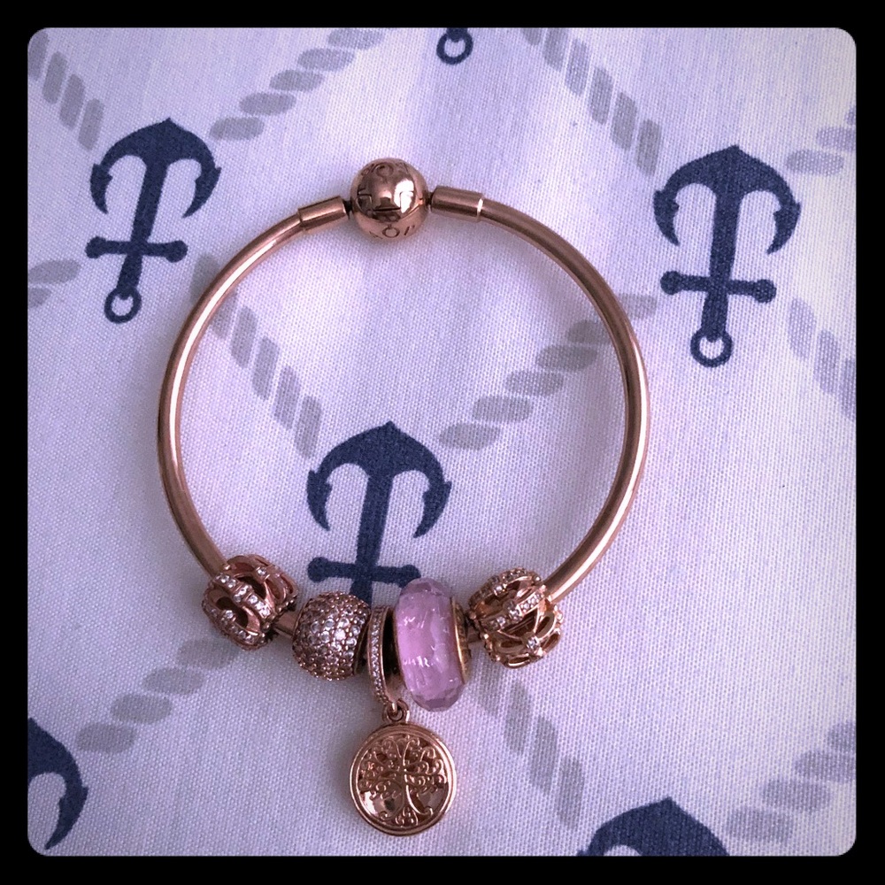 Pandora rosegold charms